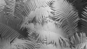 Materia vibrante — foto 1