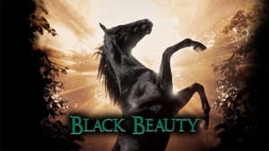 Belleza Negra — foto 1