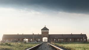 Auschwitz, la machine de mort nazie — foto 1