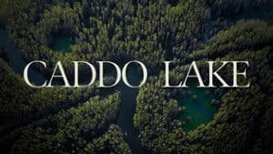 Los Horrores de Caddo Lake — foto 8