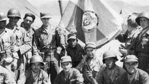 Corea: Veteranos de una guerra sin canciones — foto 1