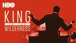 La Lucha Pacífica De Martin Luther King — foto 7