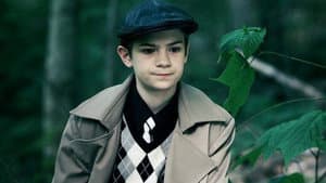 Ace Wonder — foto 3