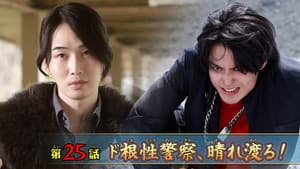 Episodio 25