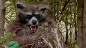 Crackcoon — foto 2
