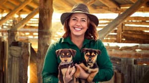 Muster Dogs: Where Are They Now — foto 4