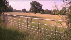 An Occurrence in the Countryside — foto 1