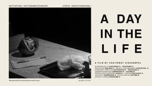 A DAY IN THE LIFE — foto 1