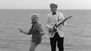Wild Guitar — foto 1