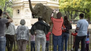 Zoofobia — foto 1