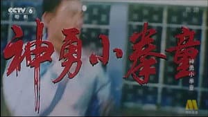 神勇小拳童 — foto 1