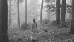Folklore: Sesiones en Long Pond Studio — foto 8