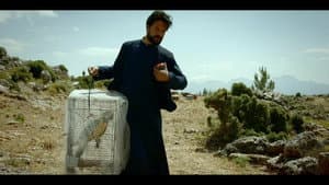 Episodio 5