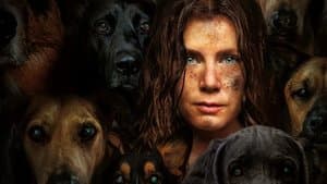 Canina — foto 5