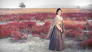 Saimdang, Diario de Luz — foto 10