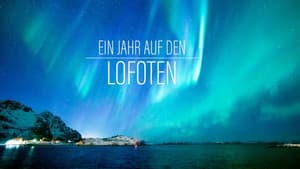 Ein Jahr auf den Lofoten — foto 1
