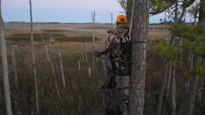 Fantasmas de Chesapeake (Parte 2)