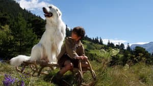 Belle et Sébastien, l'aventure continue — foto 7