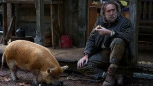 Pig — foto 1
