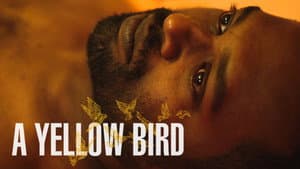 A Yellow Bird — foto 3