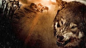 Wolf Town — foto 1