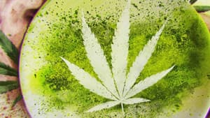 El ingrediente secreto: cannabis — foto 2