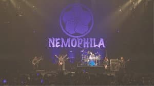 NEMOPHILA LIVE 2022 -REVIVE ～It’s sooooo nice to finally meet you!!!!!～ — foto 1