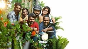 കിനാവള്ളി — foto 1