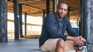 Shark Beach with Anthony Mackie — foto 9