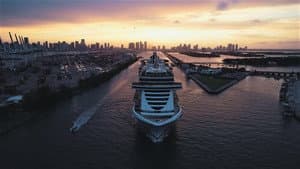 The Secret Life of the Cruise — foto 2