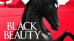 Black Beauty — foto 9
