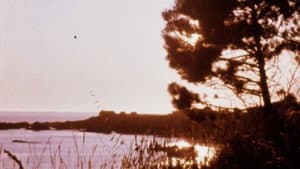Matter of Clarity — foto 5