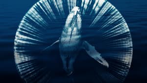 Fathom: Descifrando las profundidades — foto 4