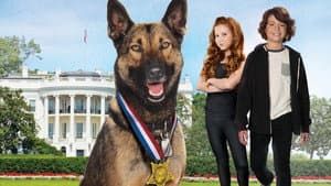 Max 2 El Heroe De La Casa Blanca — foto 1