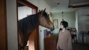 馬語 — foto 1