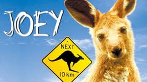 Joey — foto 6