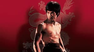 Bruce Lee La Maldicion del Dragon 1993 — foto 1