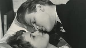 De sjove aar — foto 4