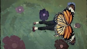 The Butterfly — foto 1