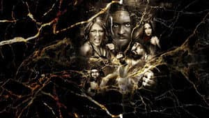 NXT Vengeance Day 2025 — foto 1