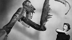 The Deadly Mantis — foto 6