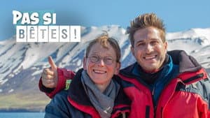 Pas si bêtes ! — foto 1