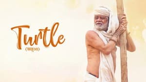 Turtle — foto 1