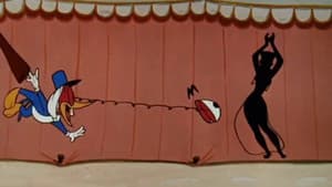 Socko in Morocco — foto 1