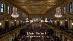 Neujahrskonzert der Wiener Philharmoniker 2014 — foto 1