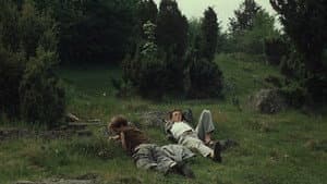 Stín kapradiny — foto 1