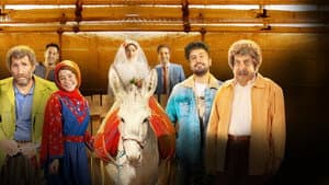 شه سوار — foto 1