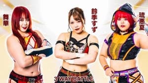 Last Jumbo Princess ひめか引退セレモニー — foto 6