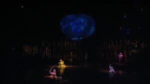 Cirque du Soleil: Varekai — foto 4
