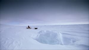 Top Gear: Polar Special — foto 11
